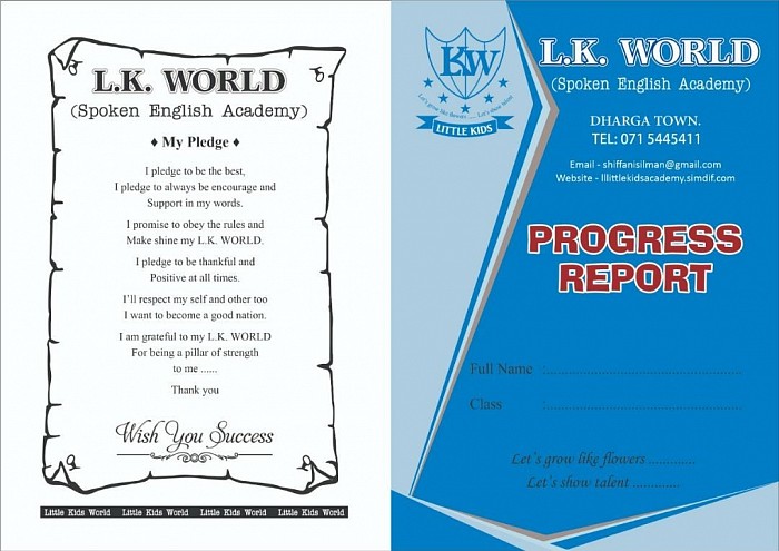 L.K.World progress report